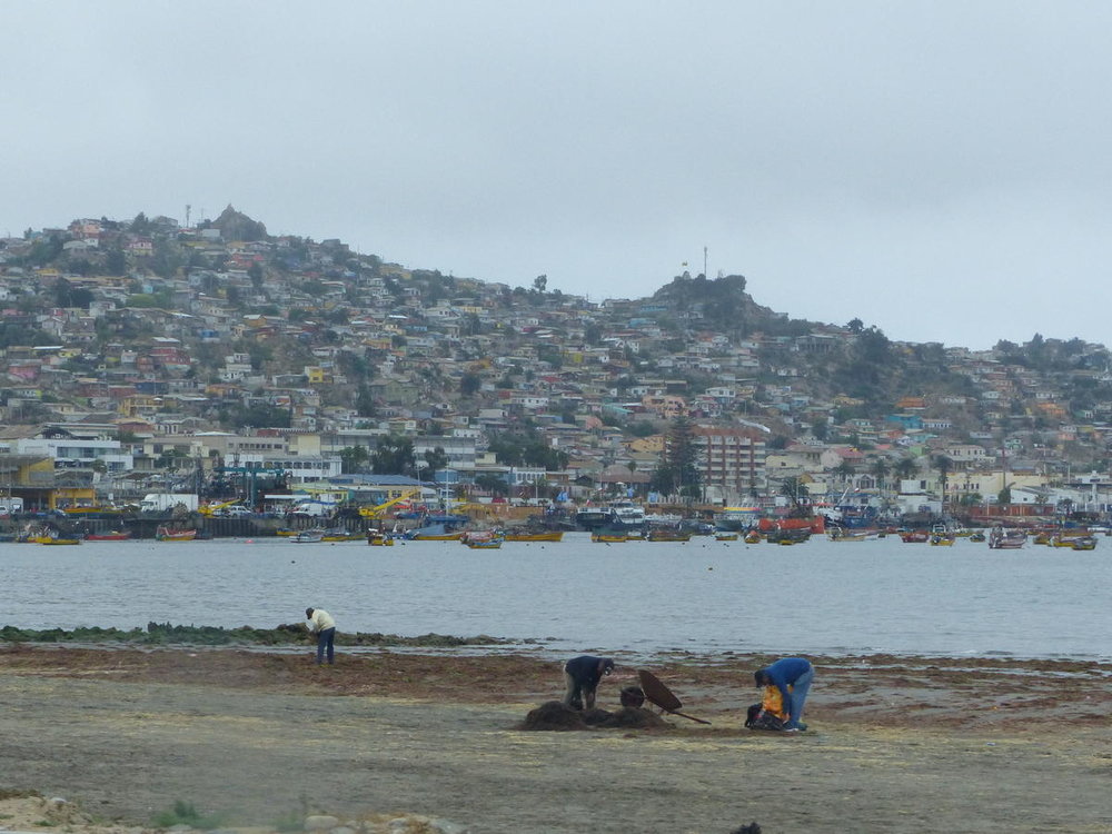 Coquimbo_02.jpg