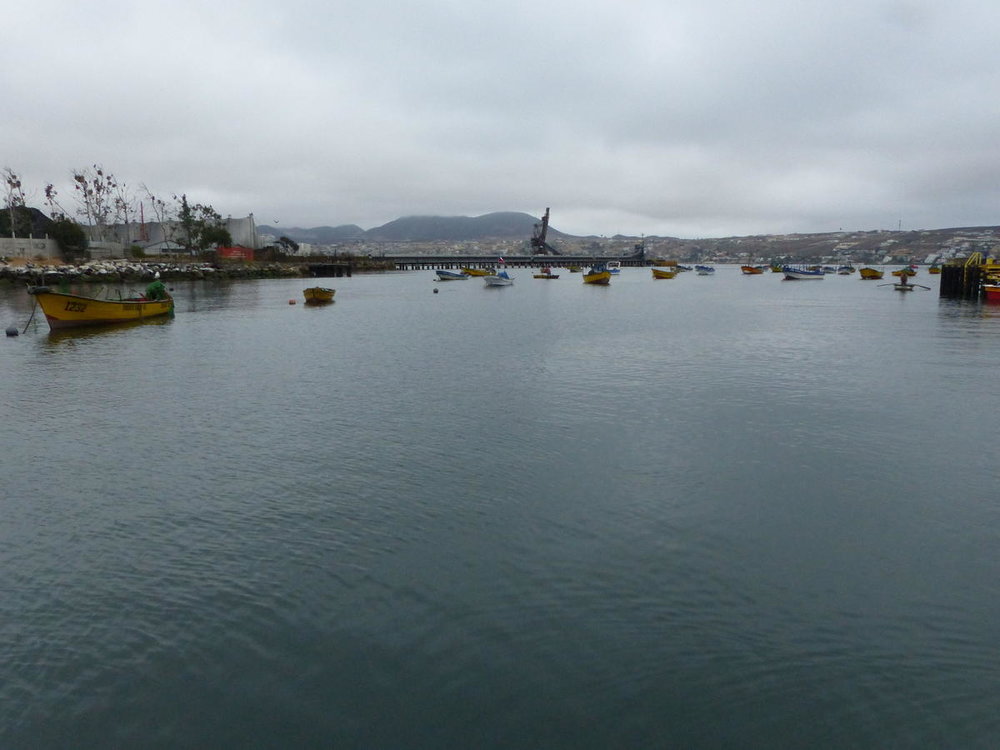 Coquimbo_14.jpg