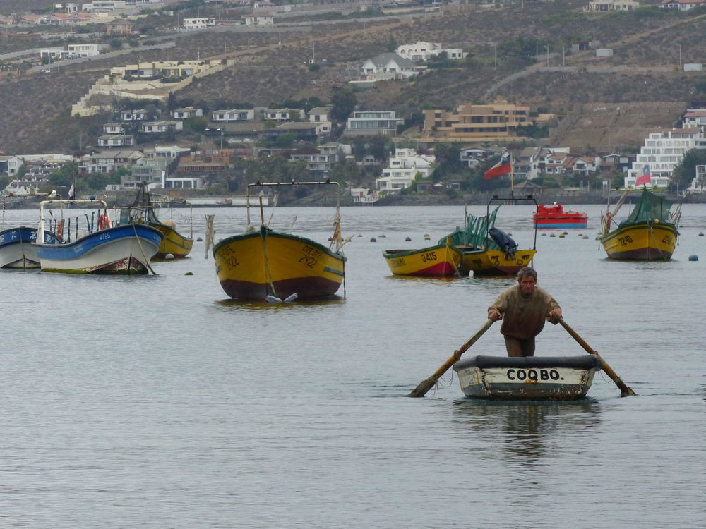 Coquimbo_15.jpg