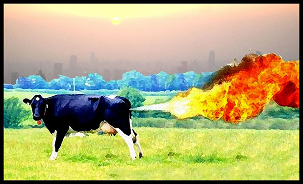 Cow-Methane-Pollution.jpg
