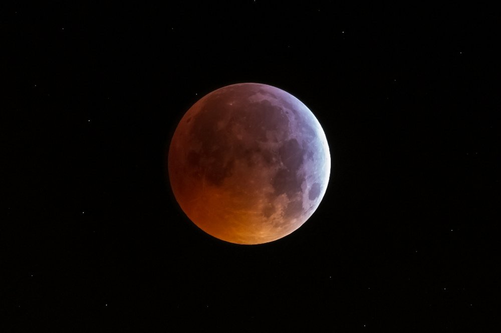 Eclipse_20190122_4.jpg