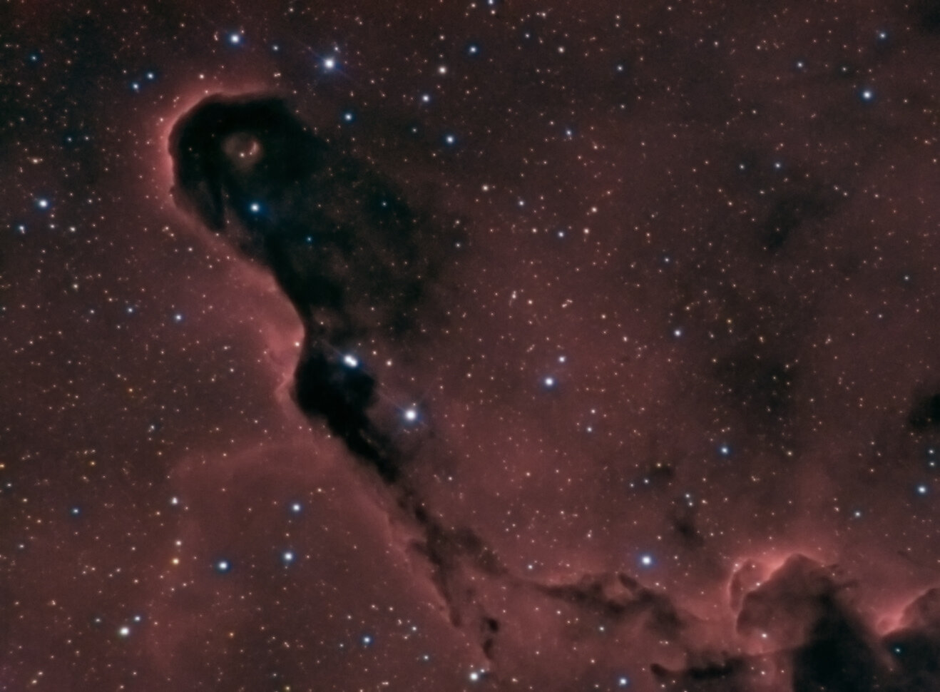 IC1396_v2_j.jpg.c716f59ebaa76f9ee93e25c9bec4abc0.jpg