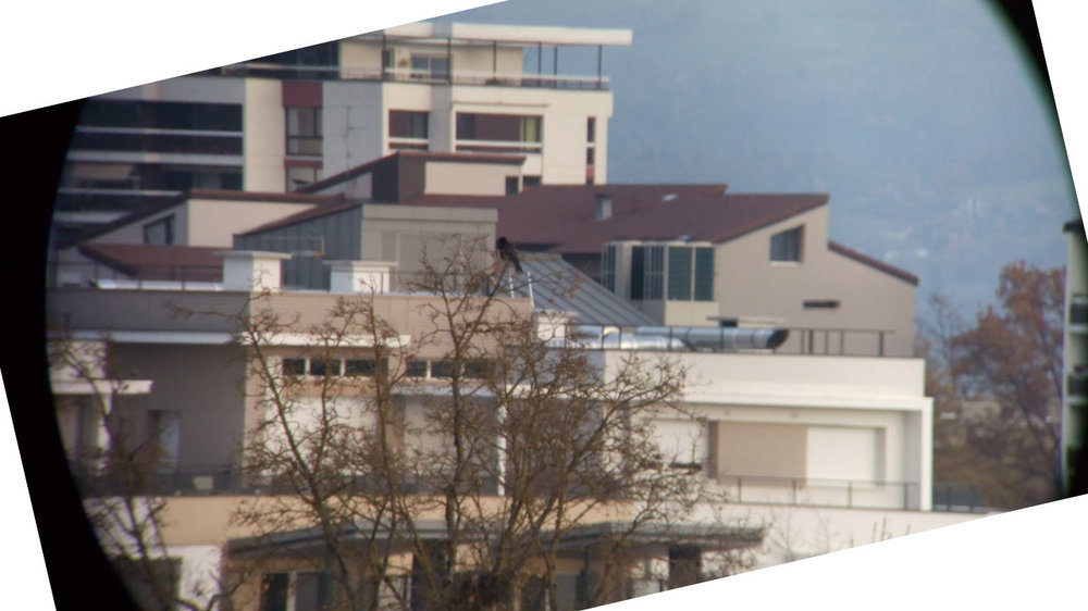 IMG_20171119_164424r.jpg.59aadd4902de2c1