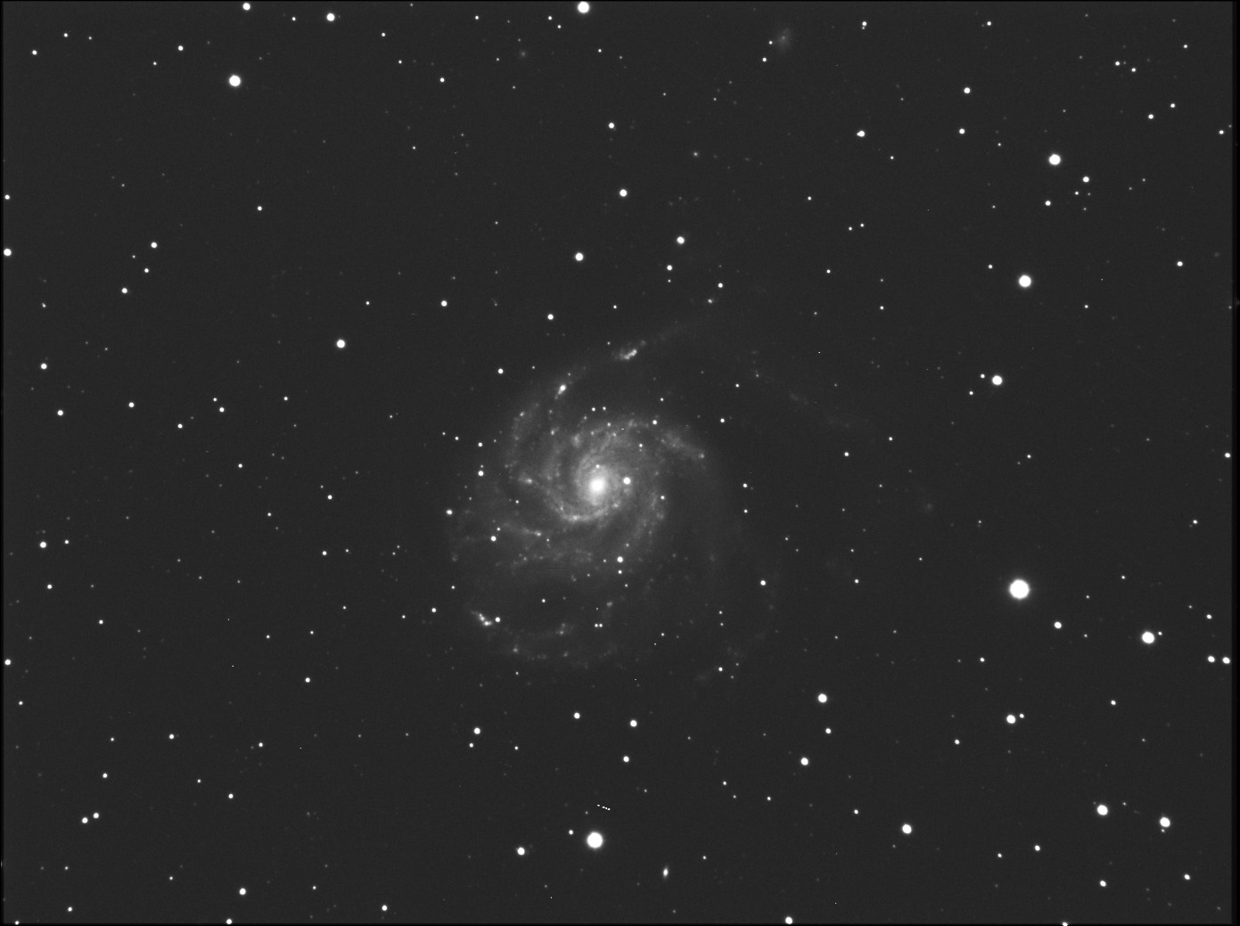 LUMINANCE-M101.jpg