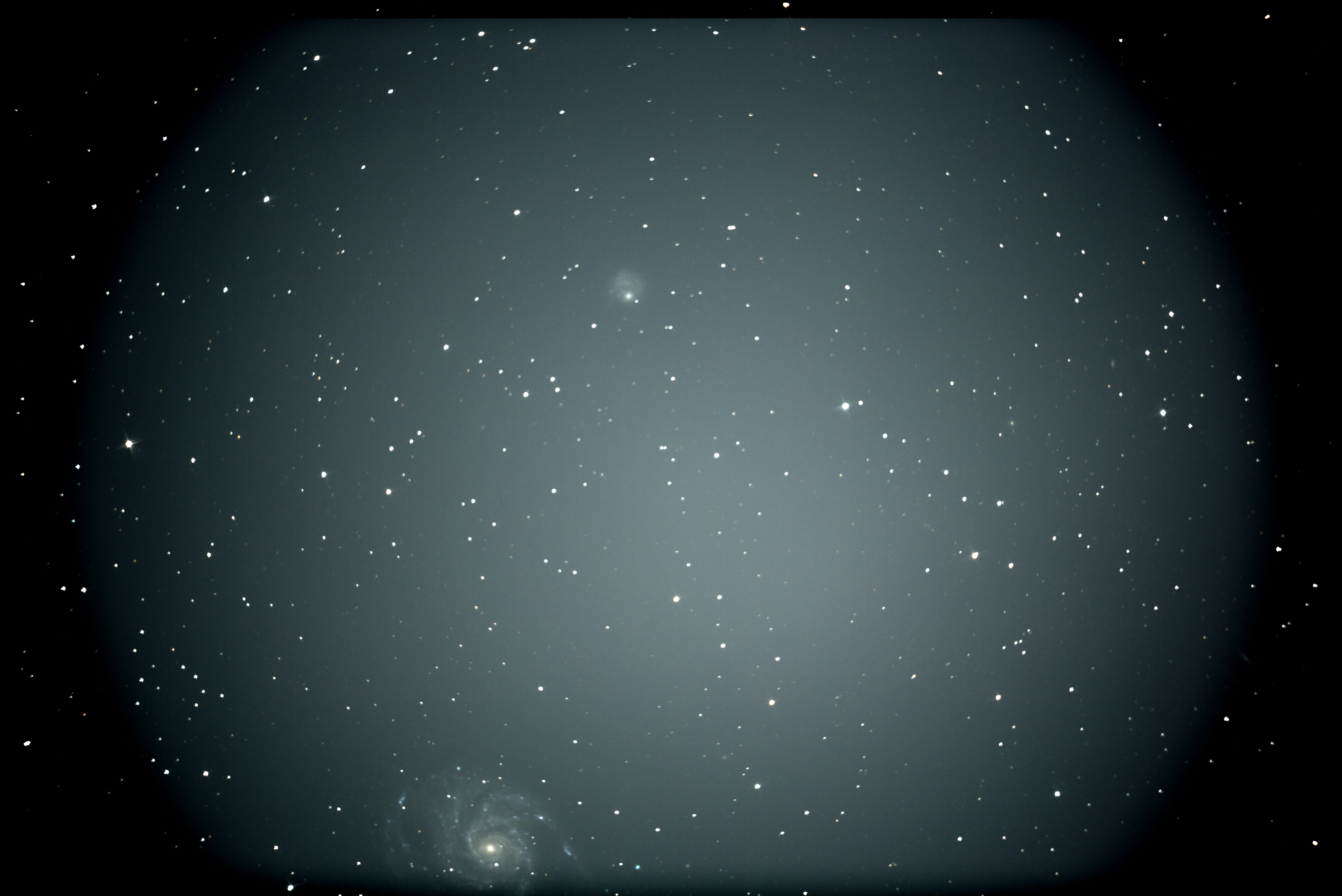 M101-NGC5474.jpg