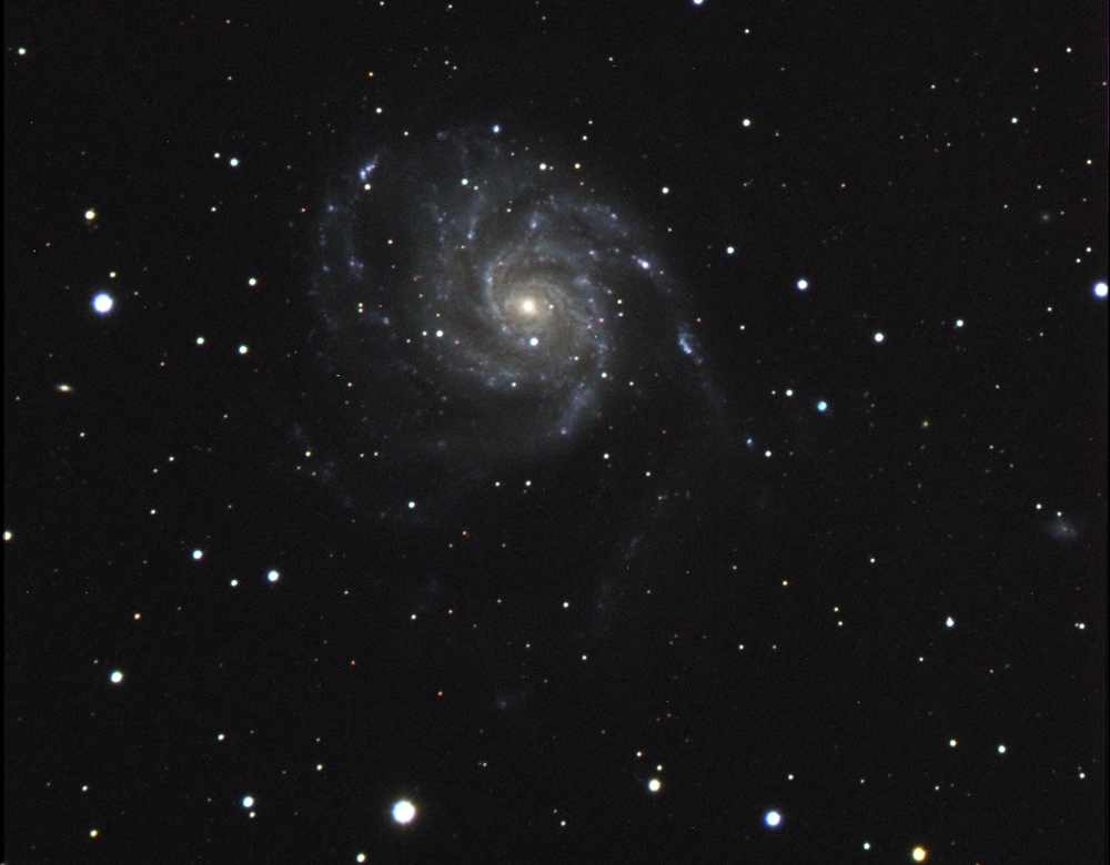 M101web.jpg