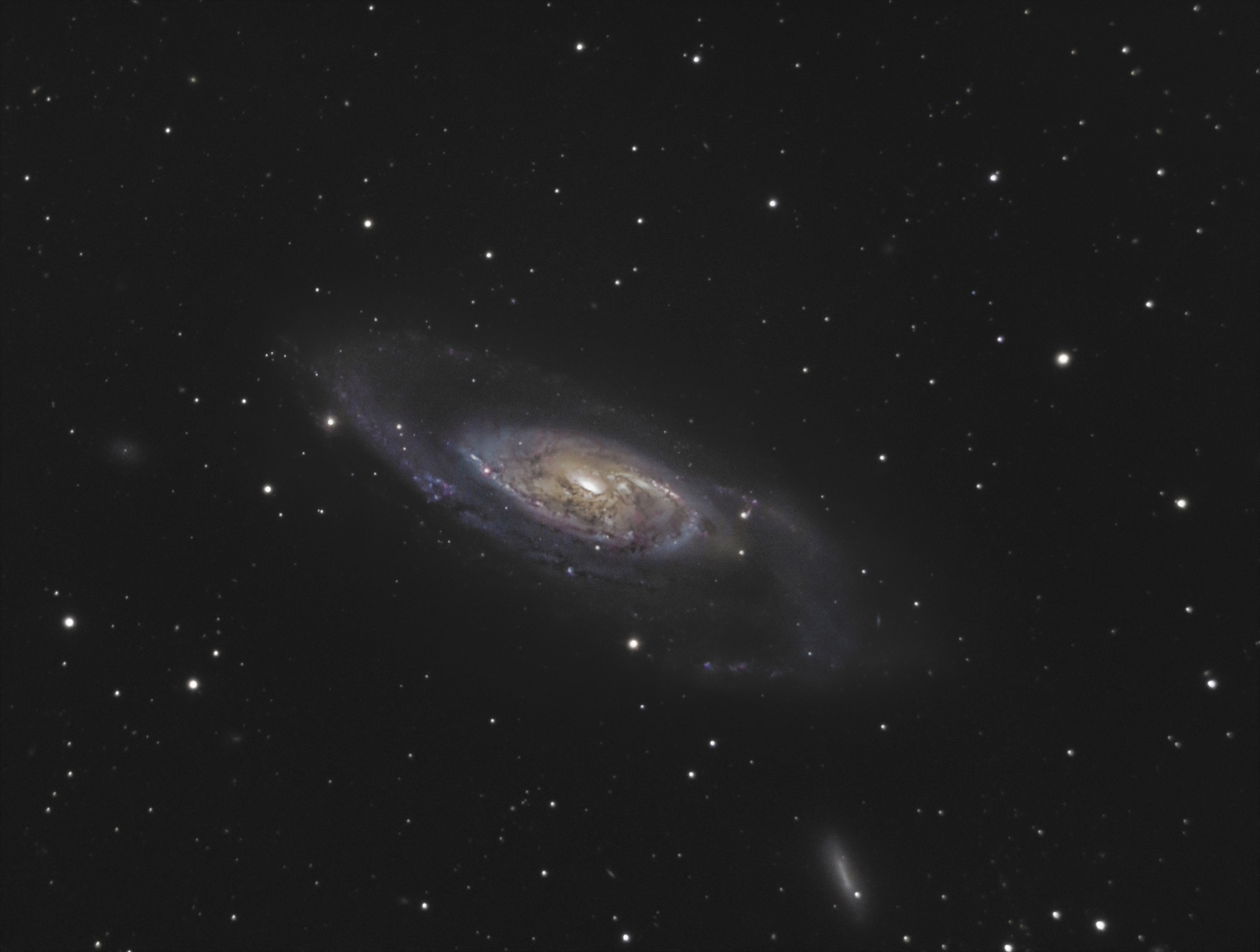 M106_v2.jpg
