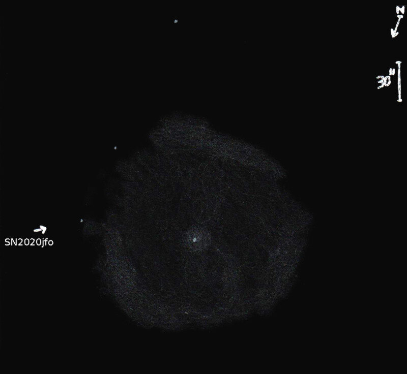 M61_SN2020jfo_obs9198.jpg