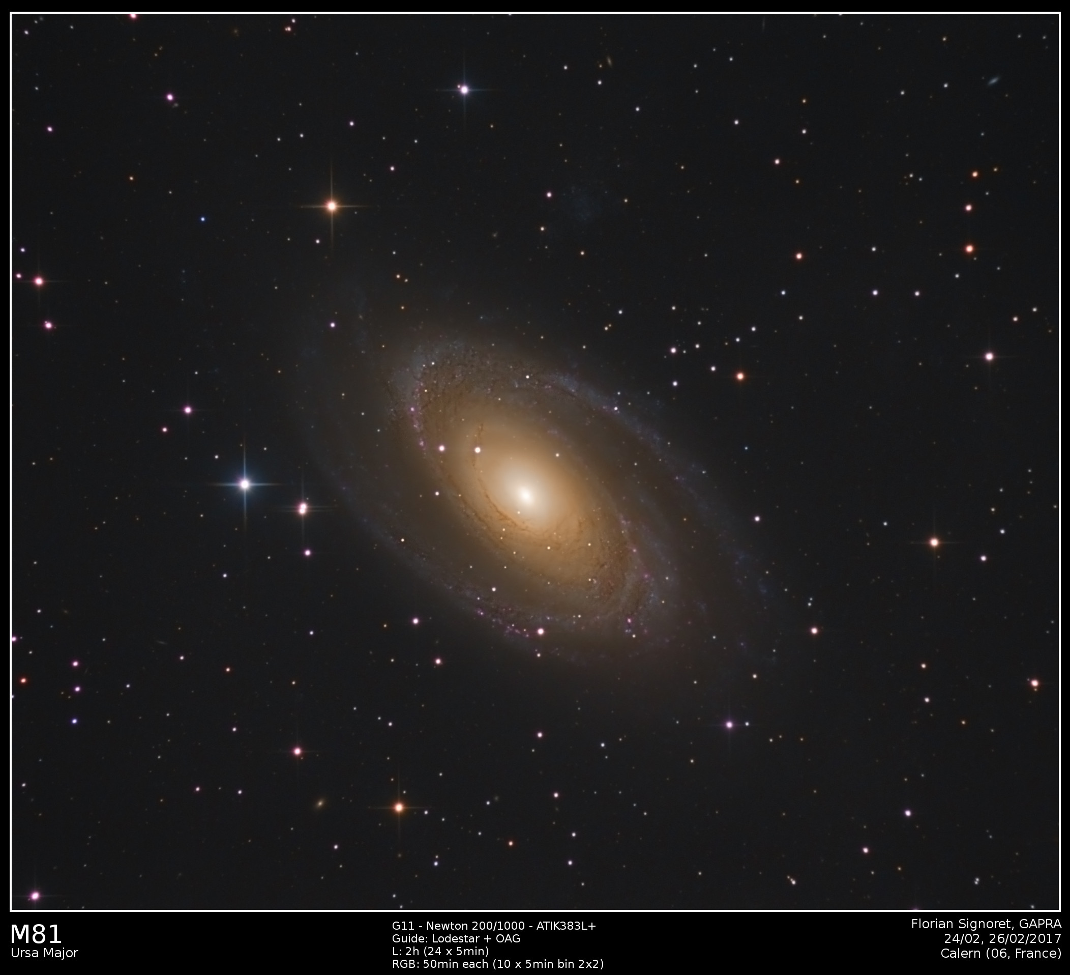 M81.jpg
