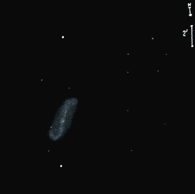 NGC1808obs8557.jpg