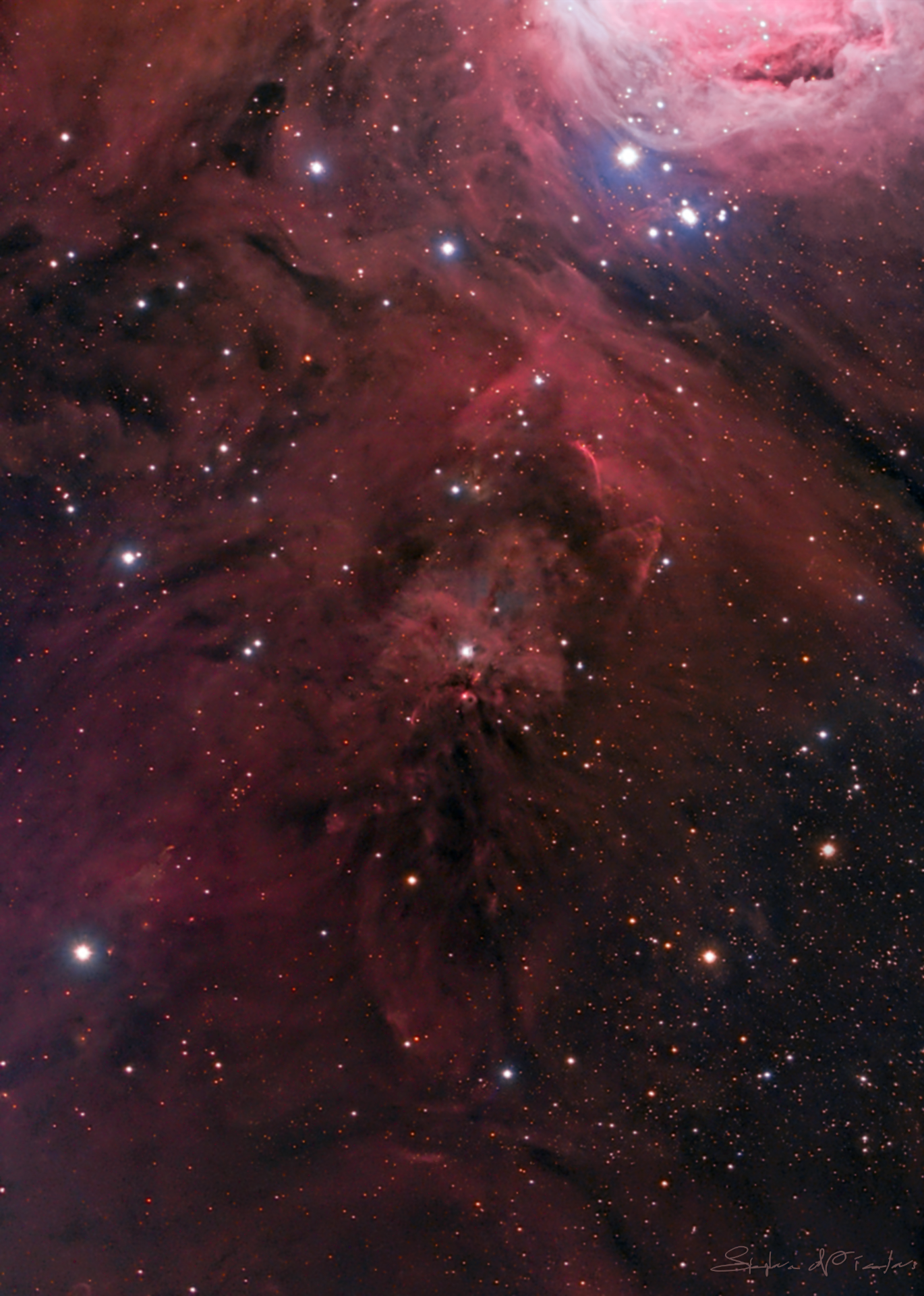 NGC1999V25-F-SIG-V1.png