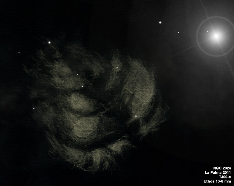 NGC2024_11.jpg