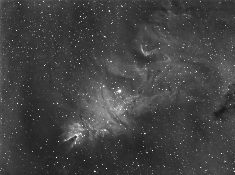 NGC2264-small.jpg