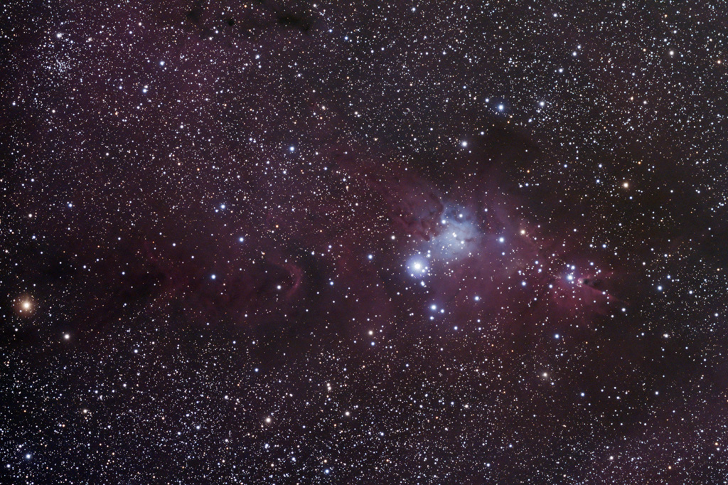 NGC2264_forums.jpg
