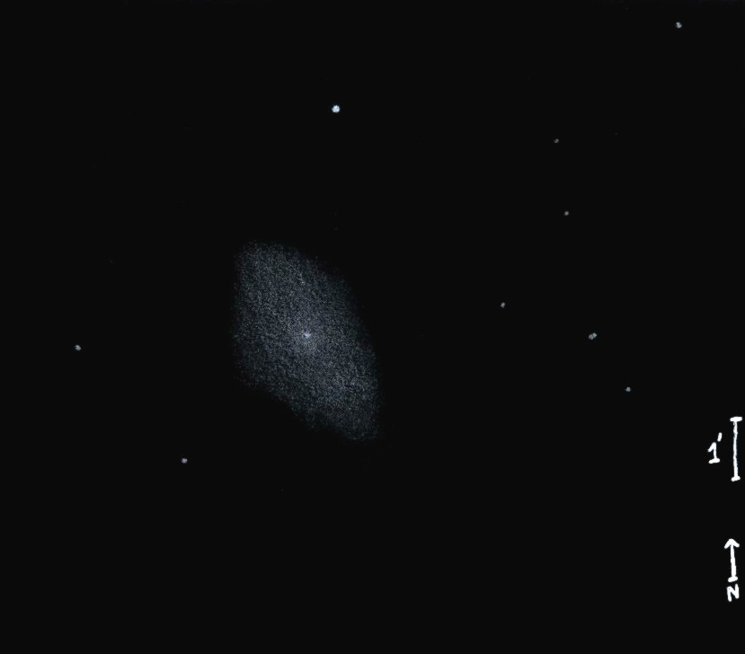 NGC2336obs7720.jpg