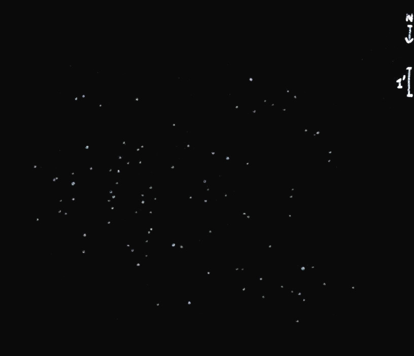 NGC2360obs8061.jpg