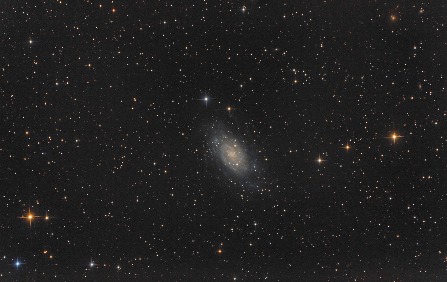 NGC2403_1500.jpg