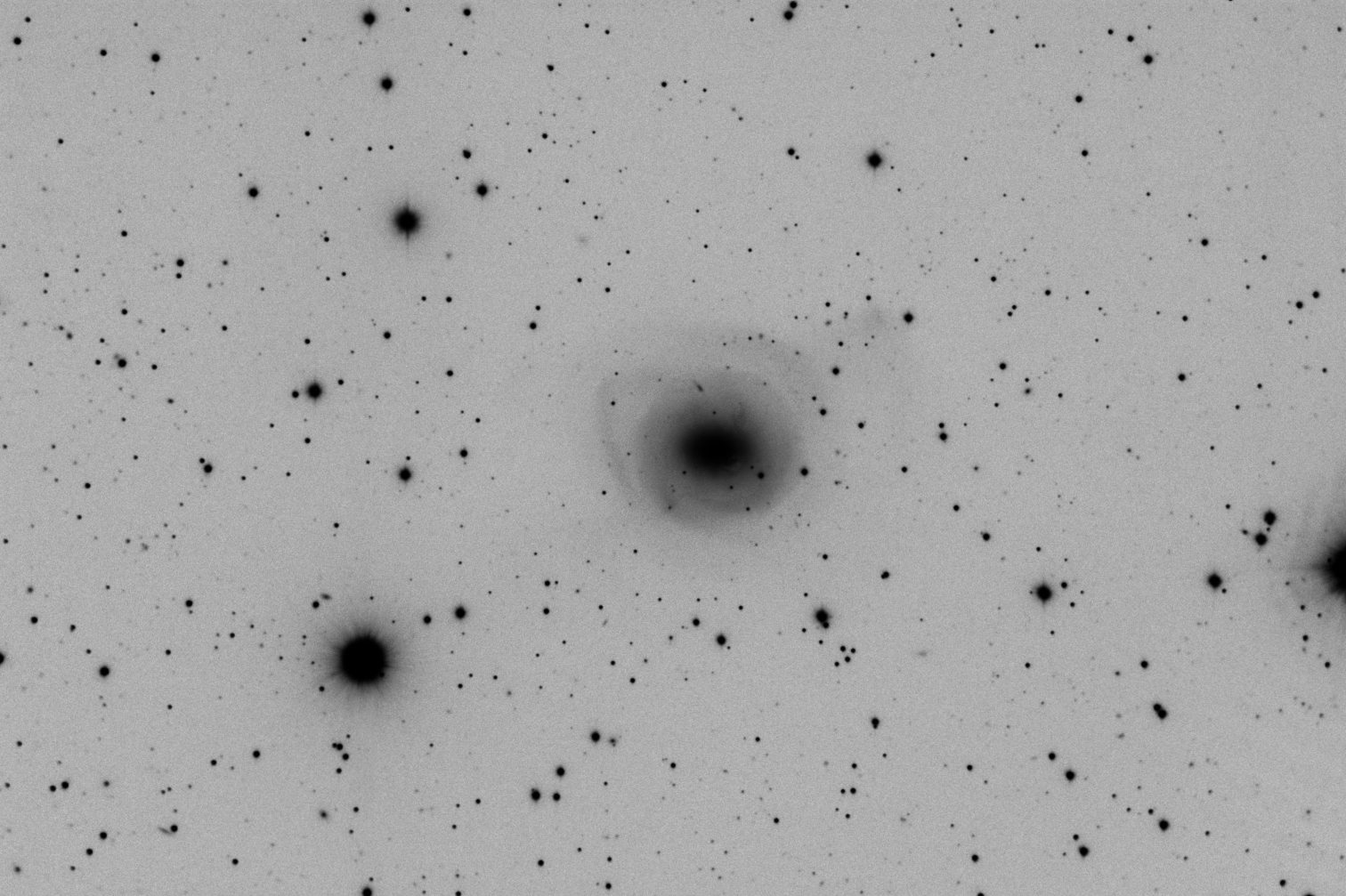 NGC2655_final_inv.jpg