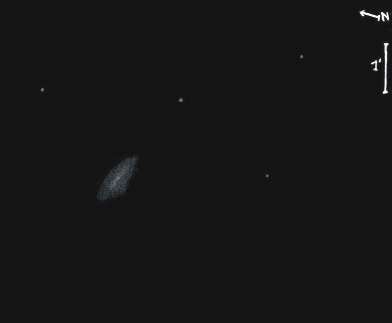NGC2916obs7294.jpg