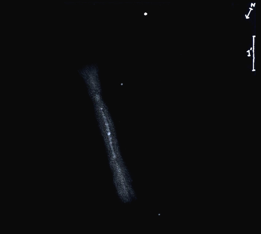 NGC3115obs8117.jpg