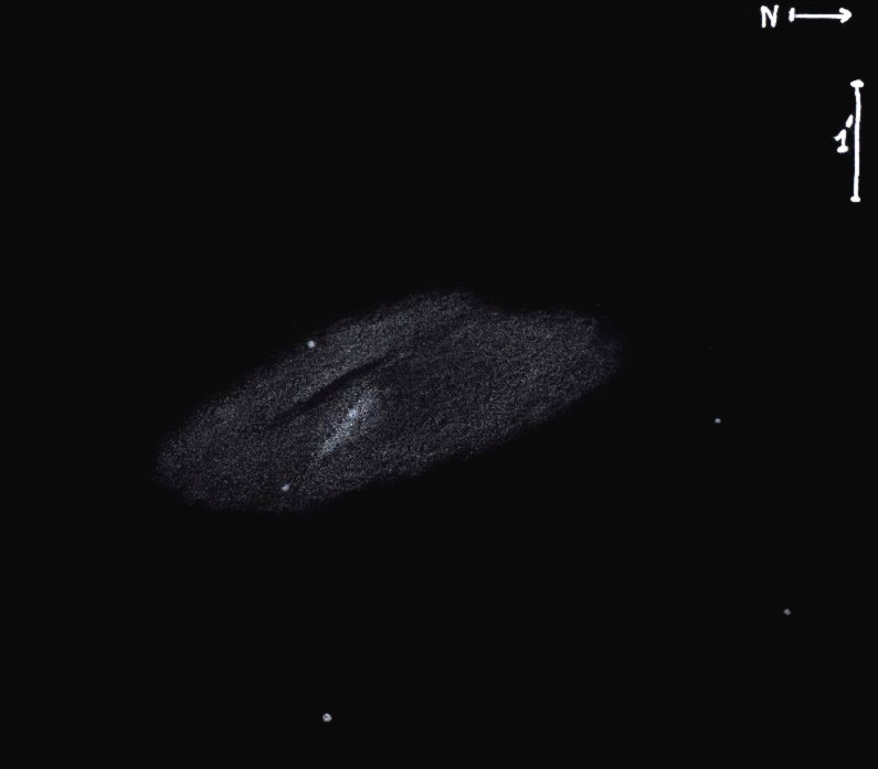 NGC3953obs8236.jpg