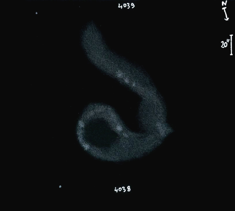 NGC4038_9obs8122.jpg