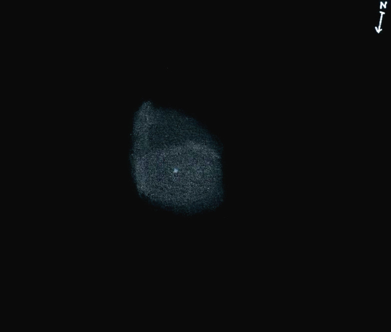 NGC4361obs8101.jpg