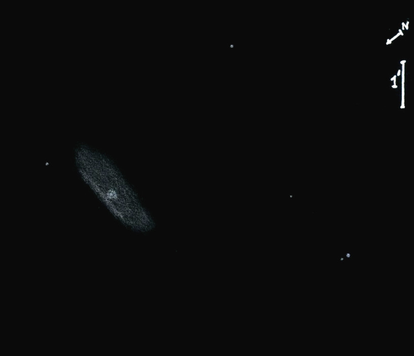 NGC4473obs8174.jpg