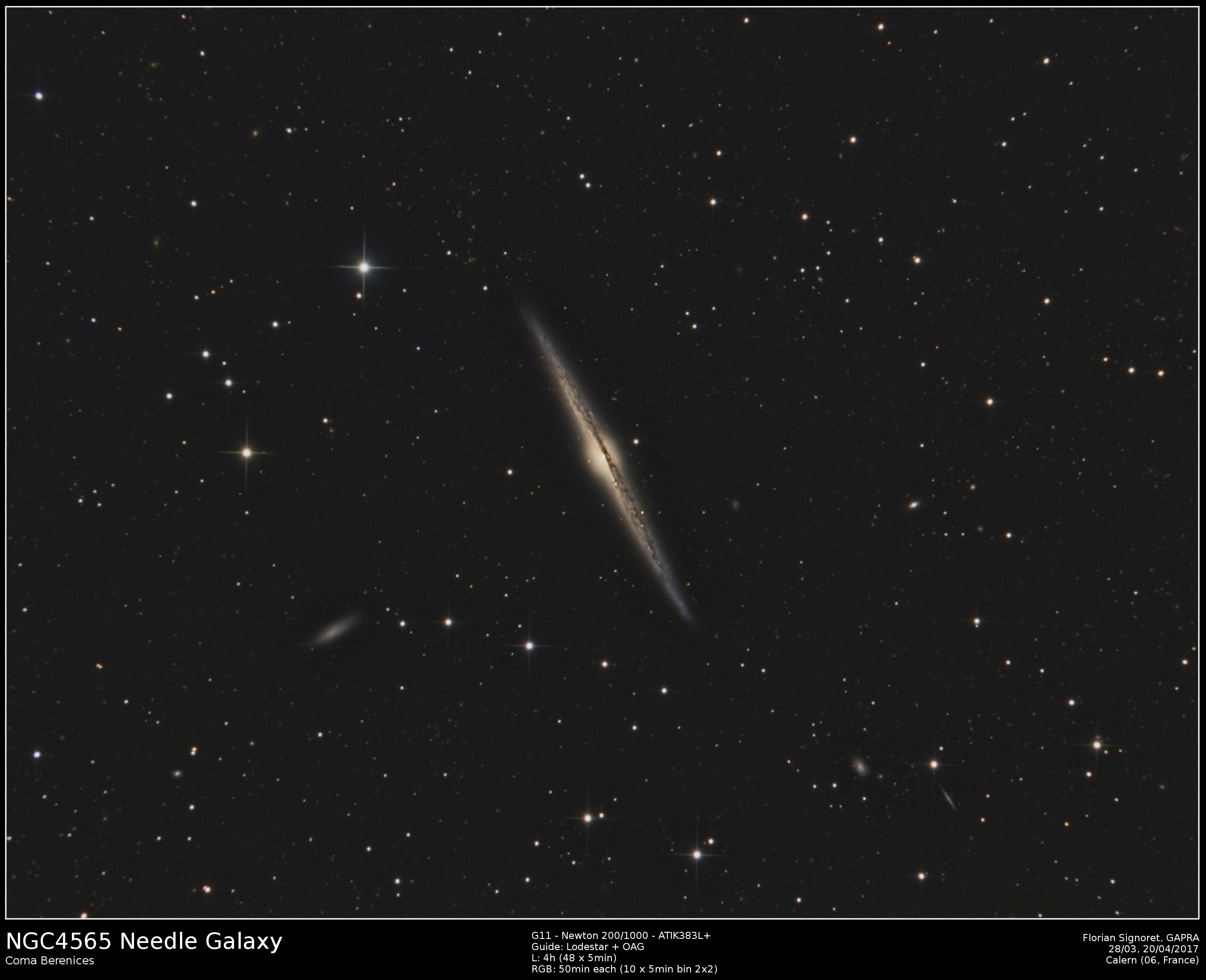 NGC4565.jpg