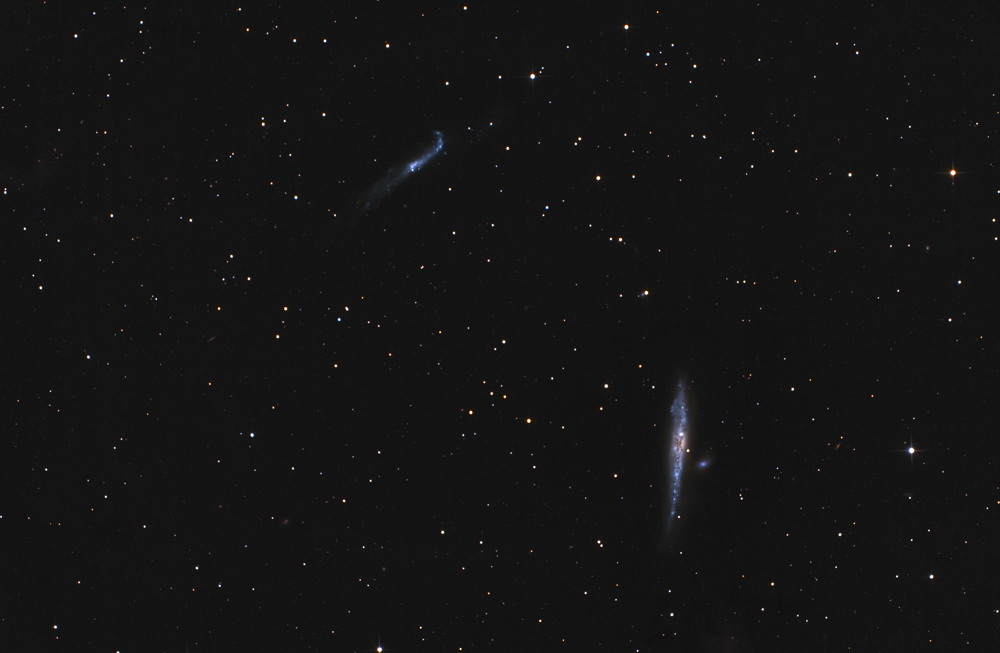 NGC4631_1000.jpg