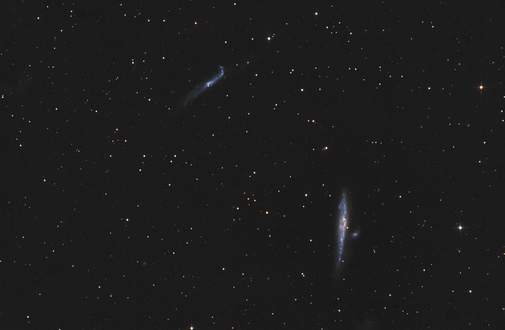 NGC4631_1000_2.jpg