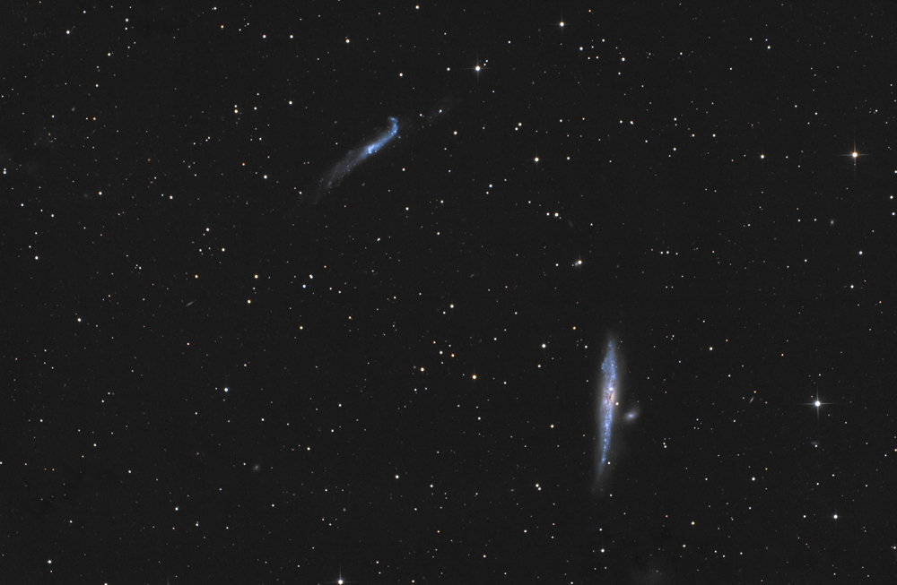 NGC4631_V2_1000.jpg