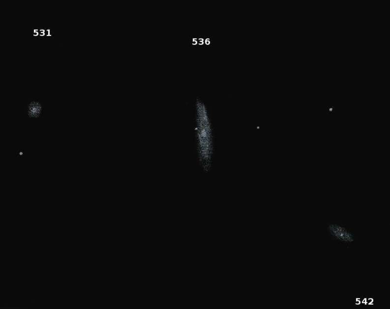 NGC531_36_42obs8009.jpg