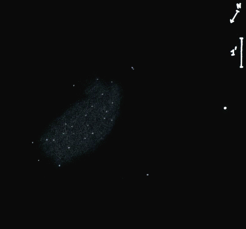 NGC6802obs9020.jpg