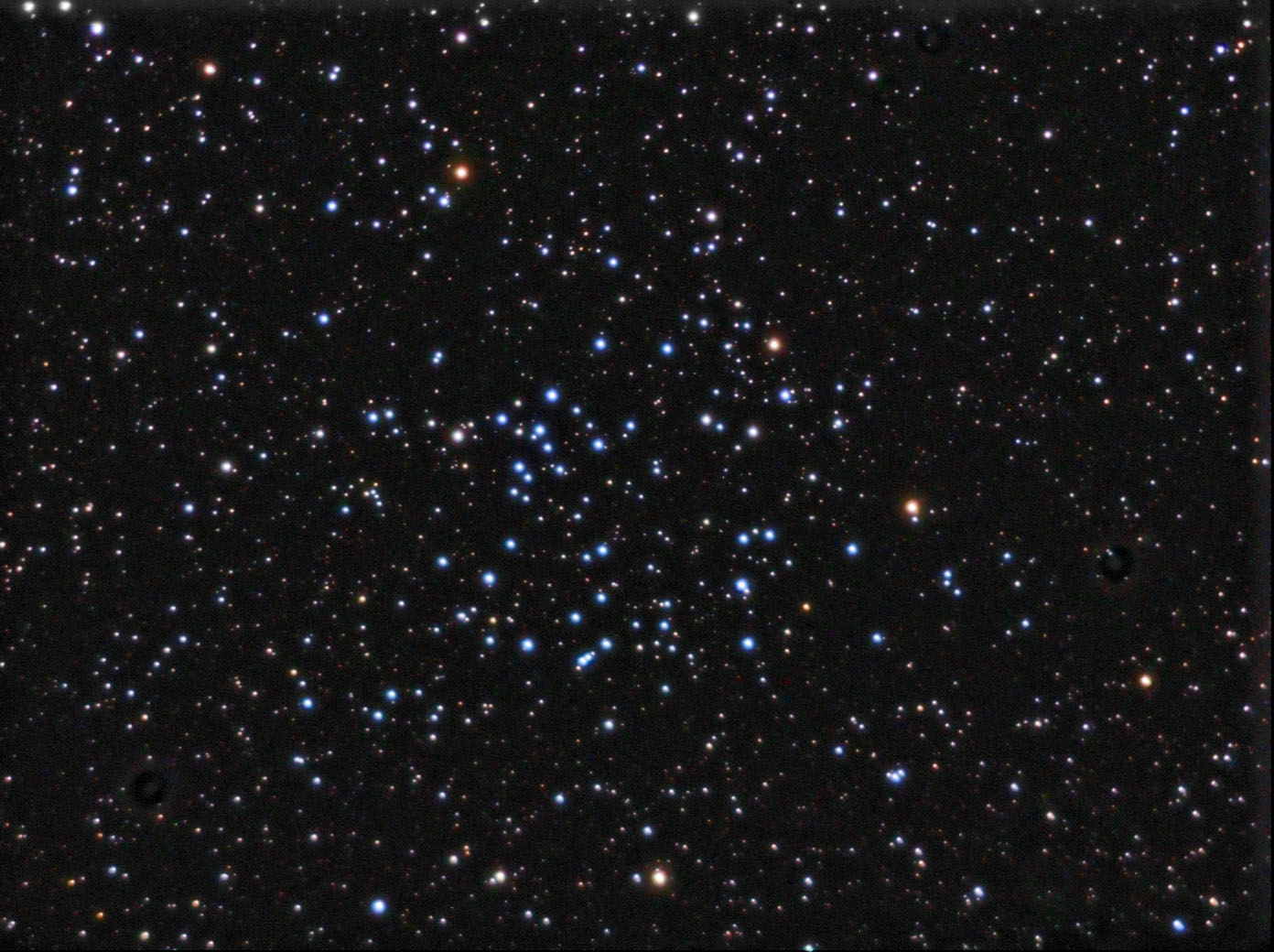 NGC6811_C8Mog30_PS1.jpg