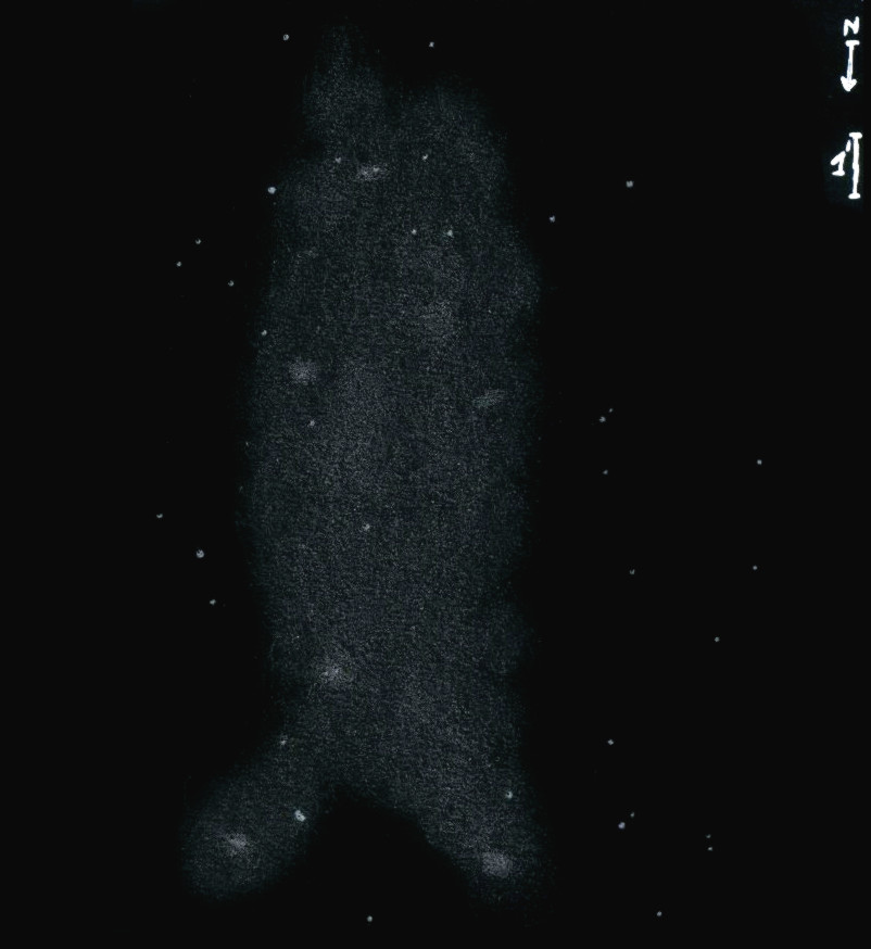 NGC6822obs7883.jpg