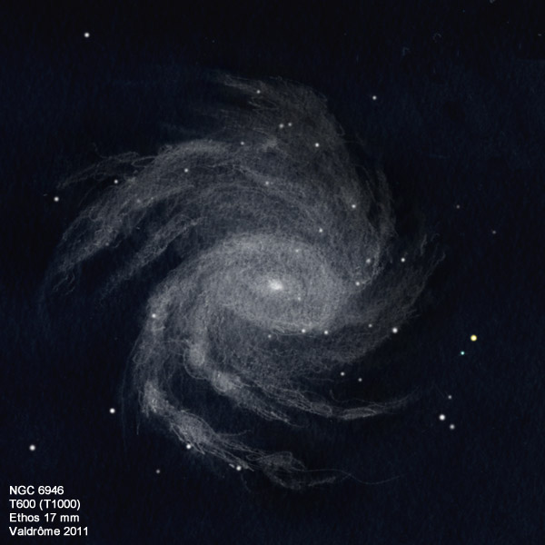 NGC6946_11.jpg