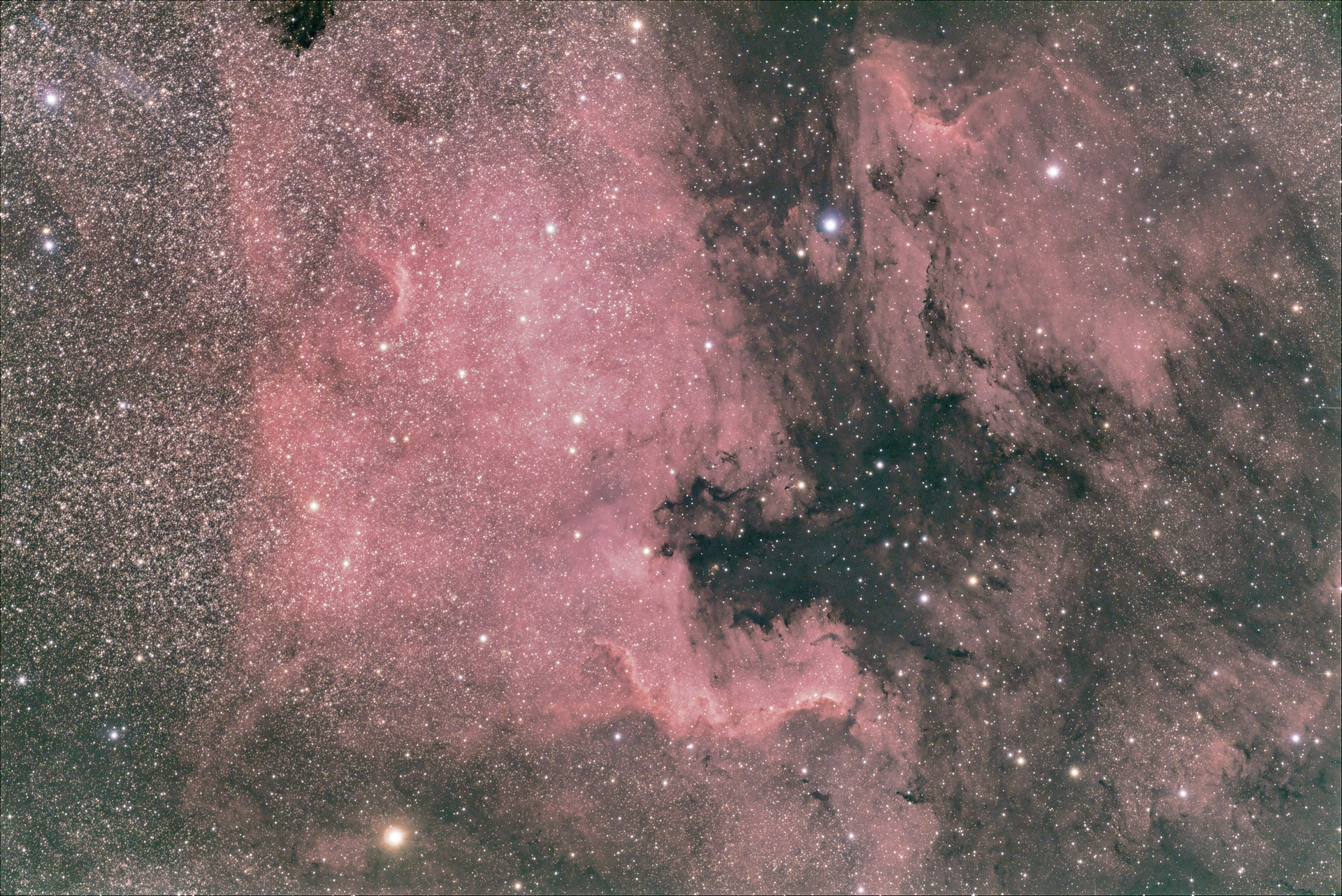 NGC7000-81x30s3200ISObt.jpg