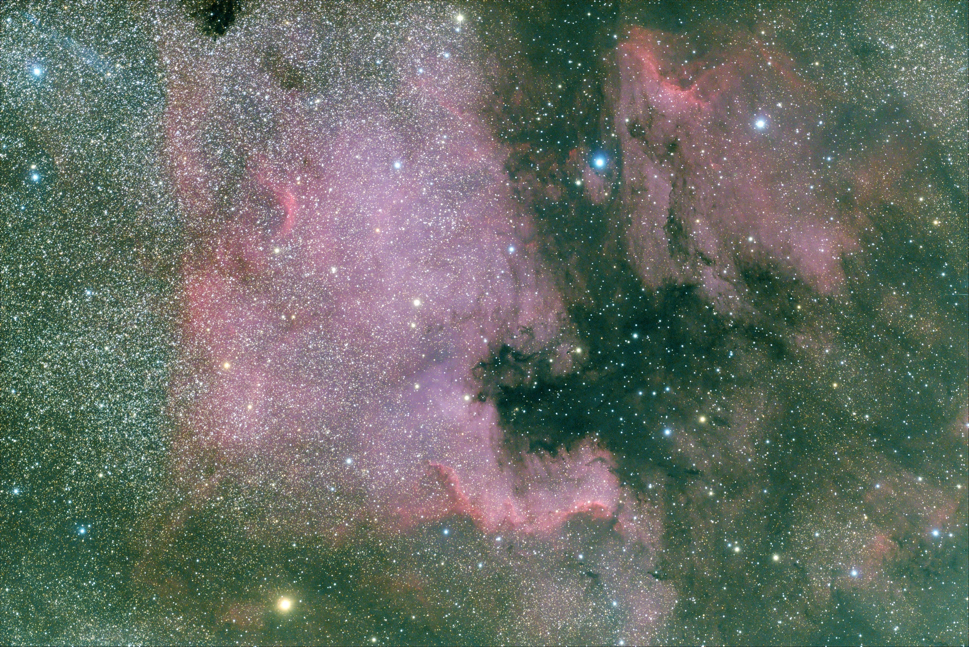 NGC7000-81x30s3200ISOdt.jpg