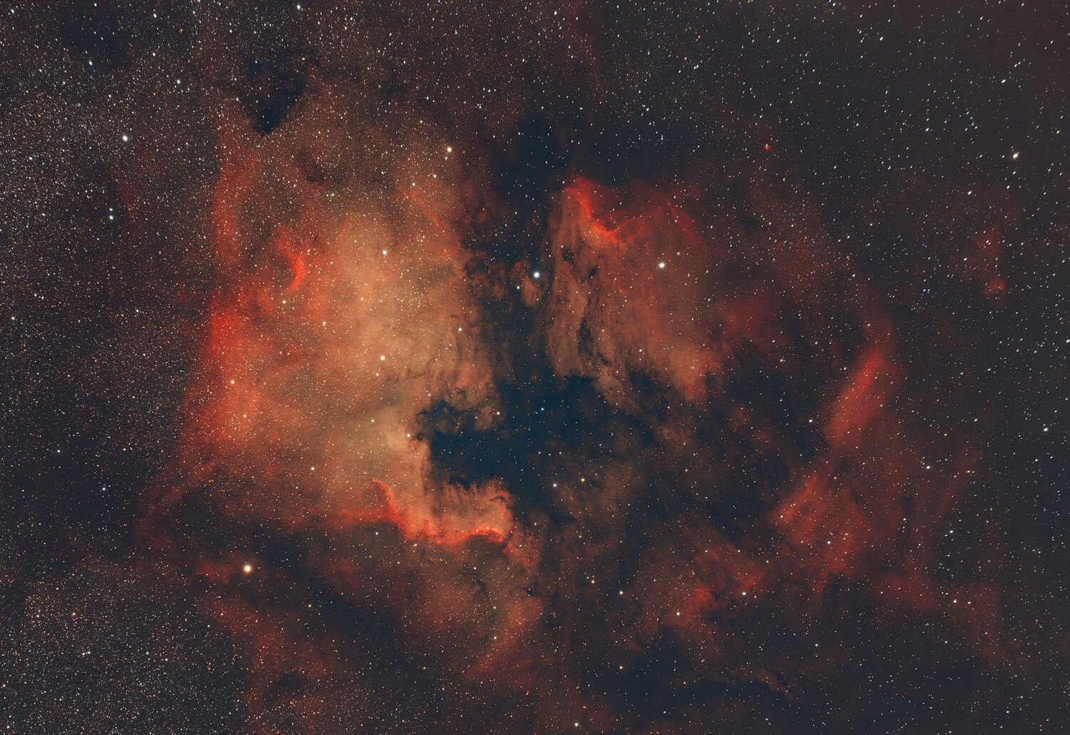 NGC7000_Decatur.jpg