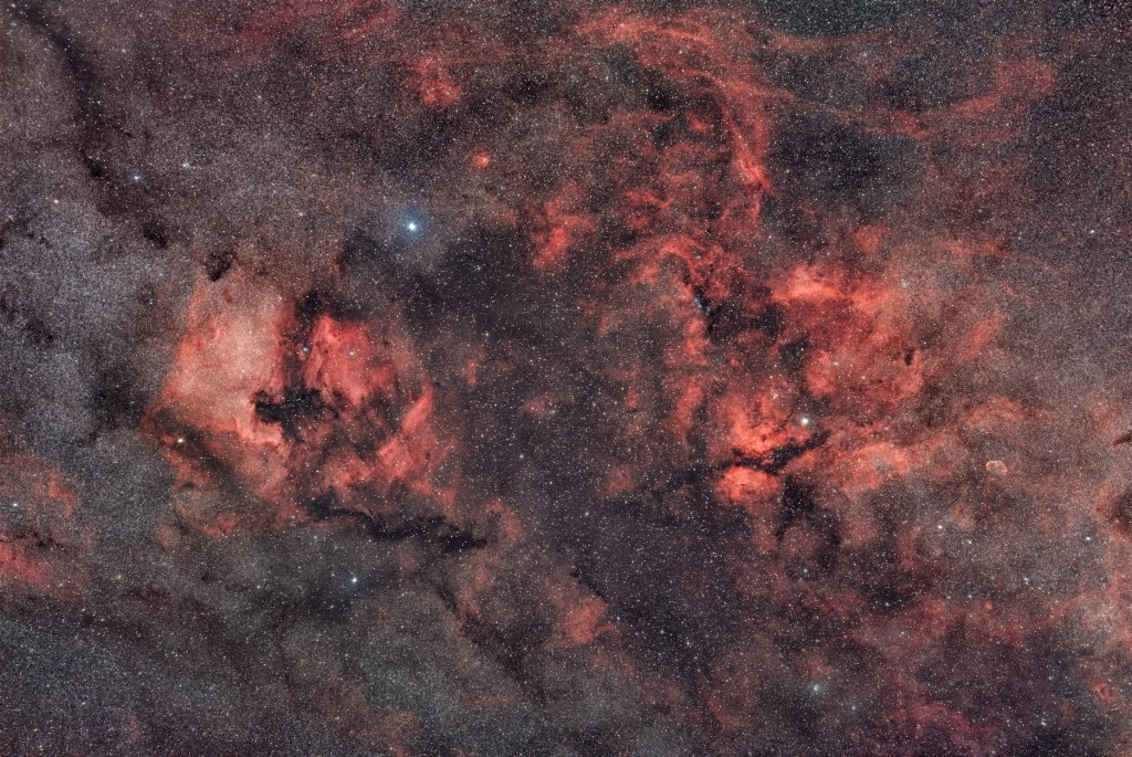 NGC7000_Sadr_A7s_135mm_1Mp.jpg