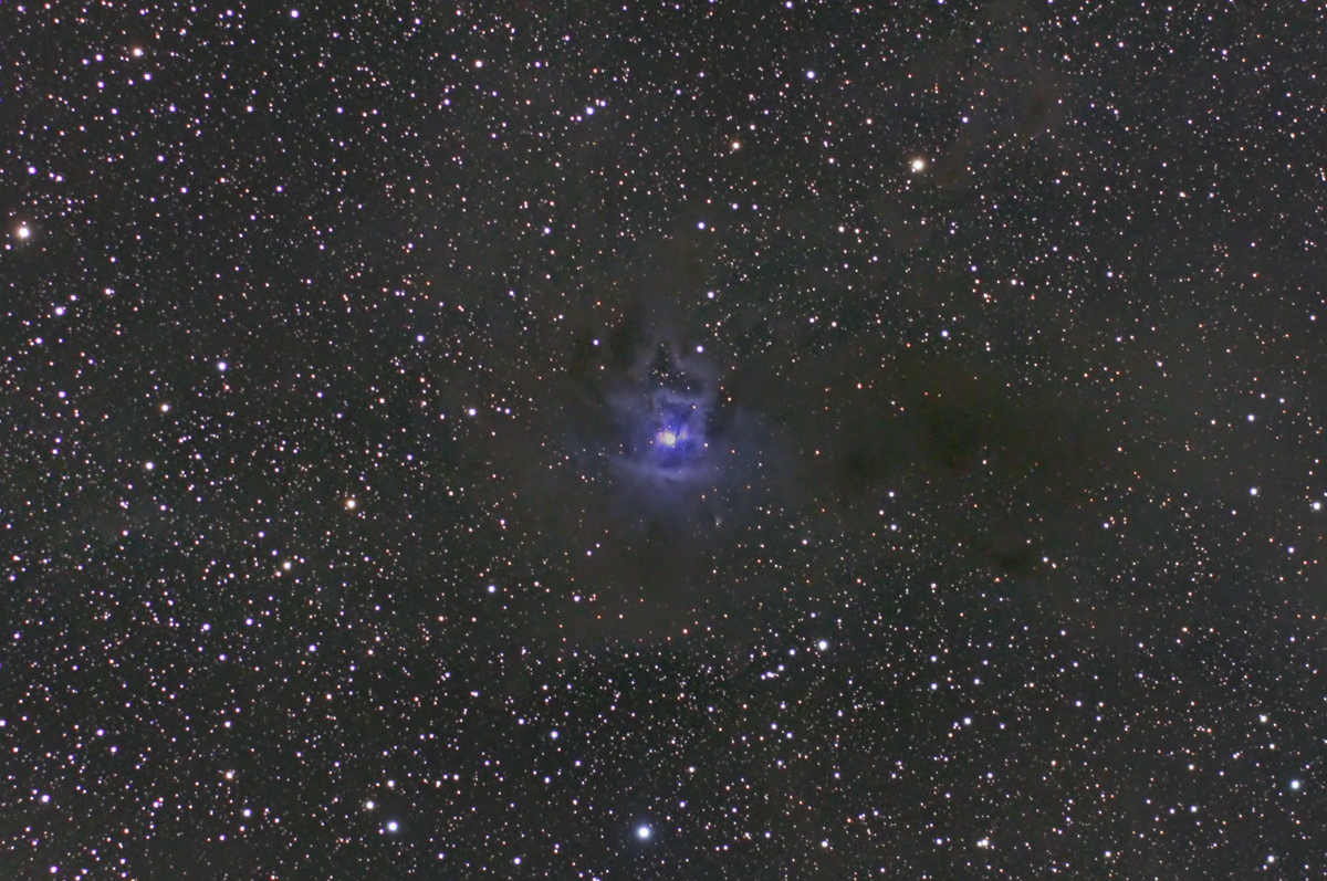 NGC7023-IRIS-COOLINGSTARBOX-50D-SIGMA170-CROP.jpg