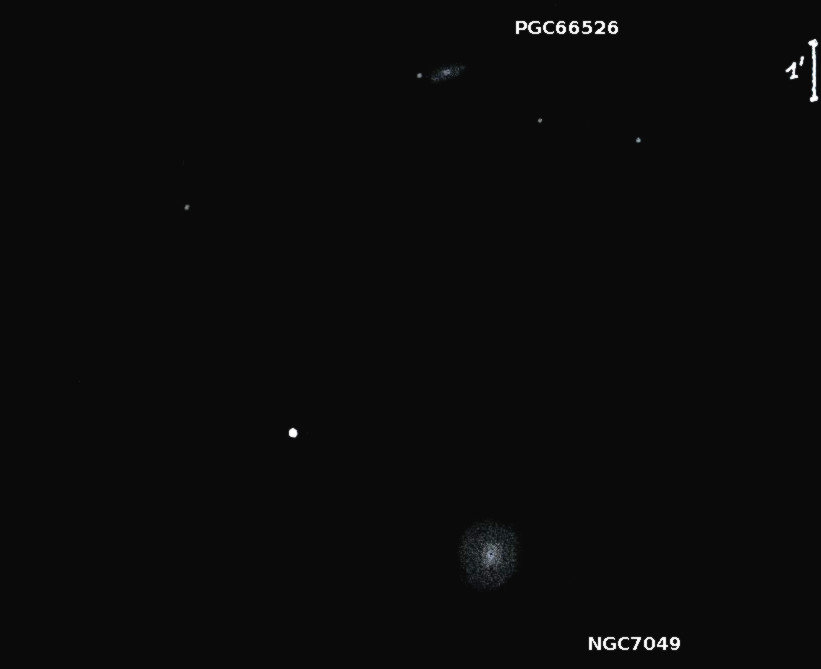 NGC7049_PGC66526obs8593.jpg