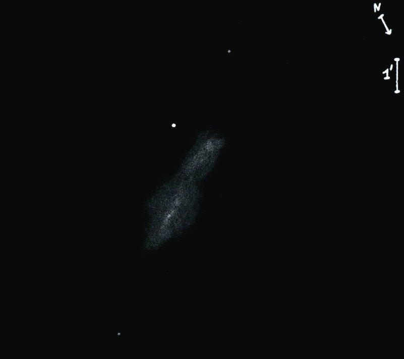 NGC7606obs8419.jpg
