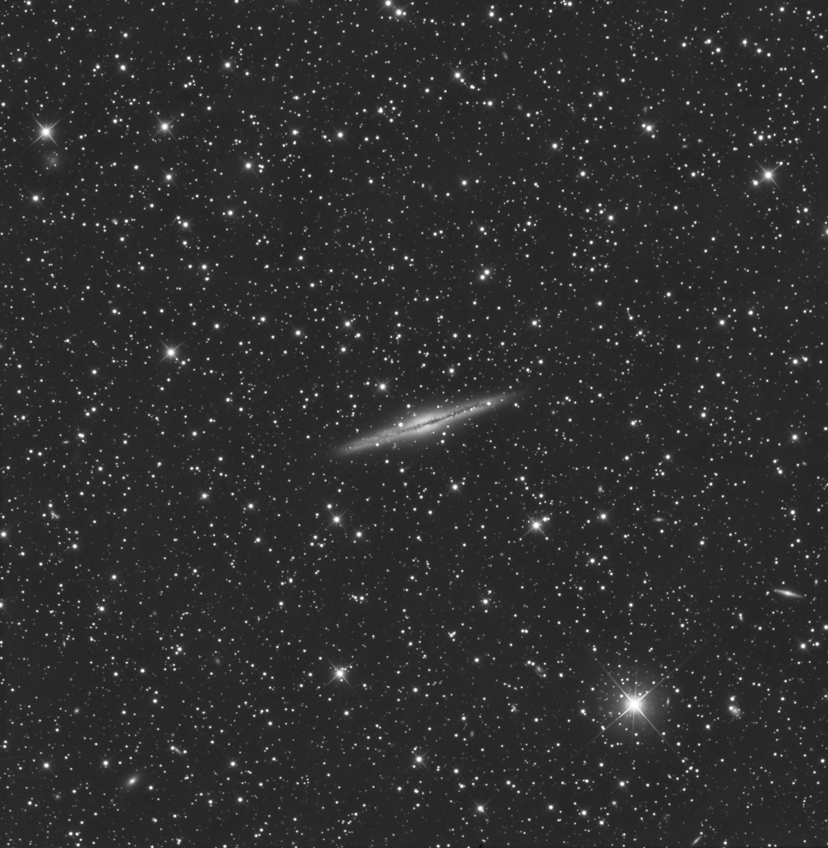 NGC891_small.jpg