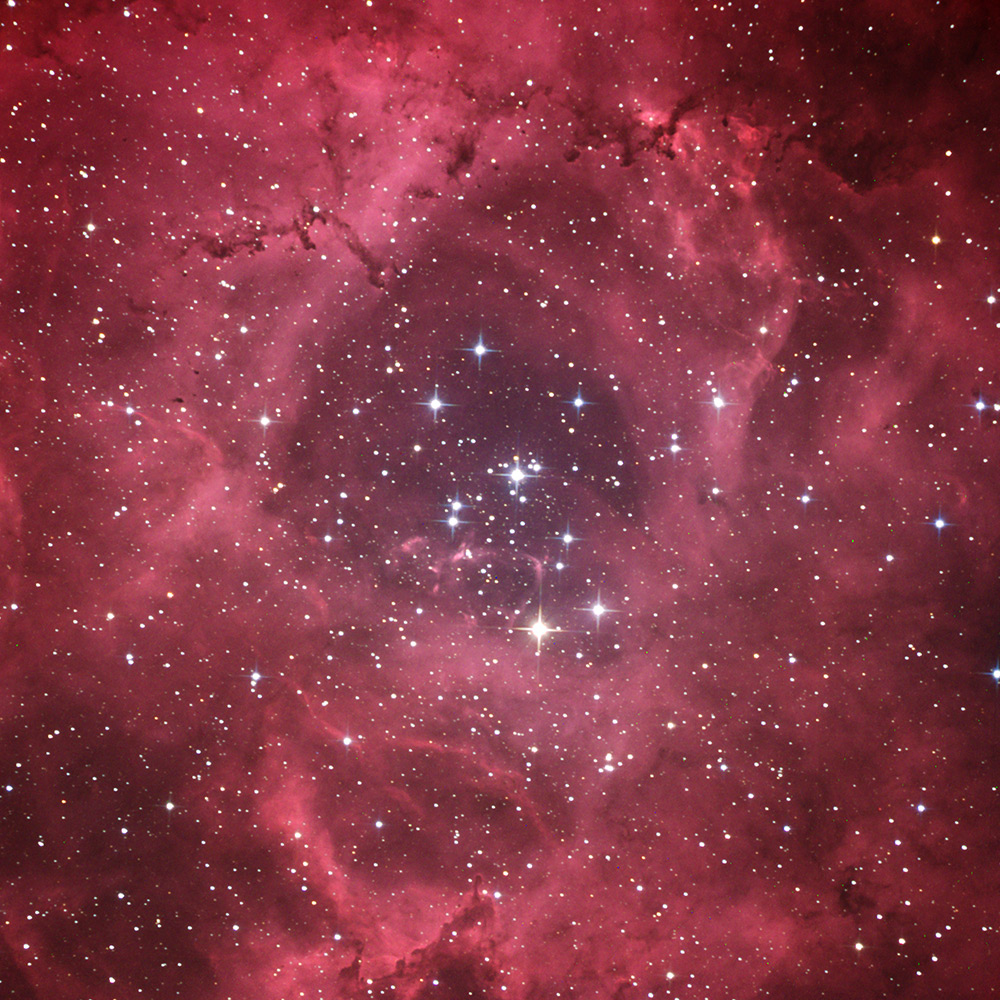 NGC_2237_for_web.jpg