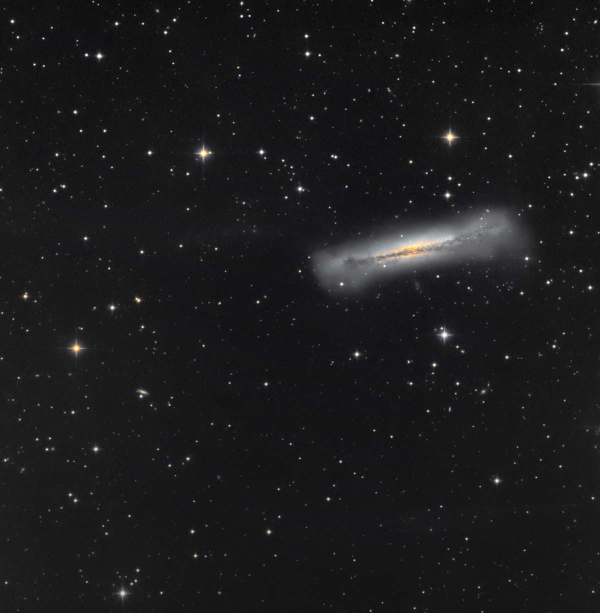 NGC_3628.jpg