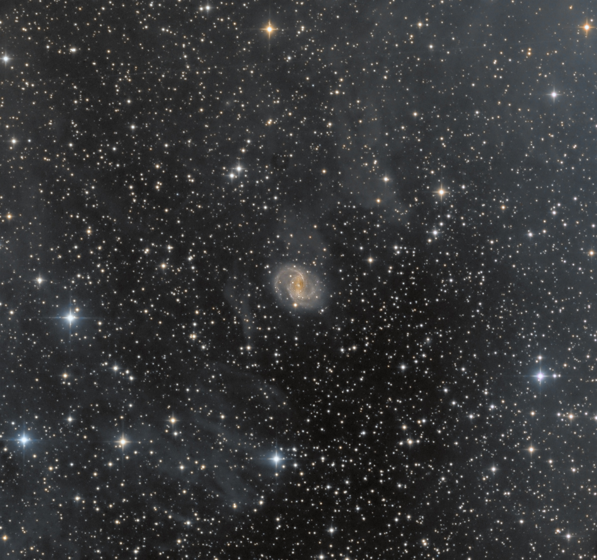 NGC_6951.jpg