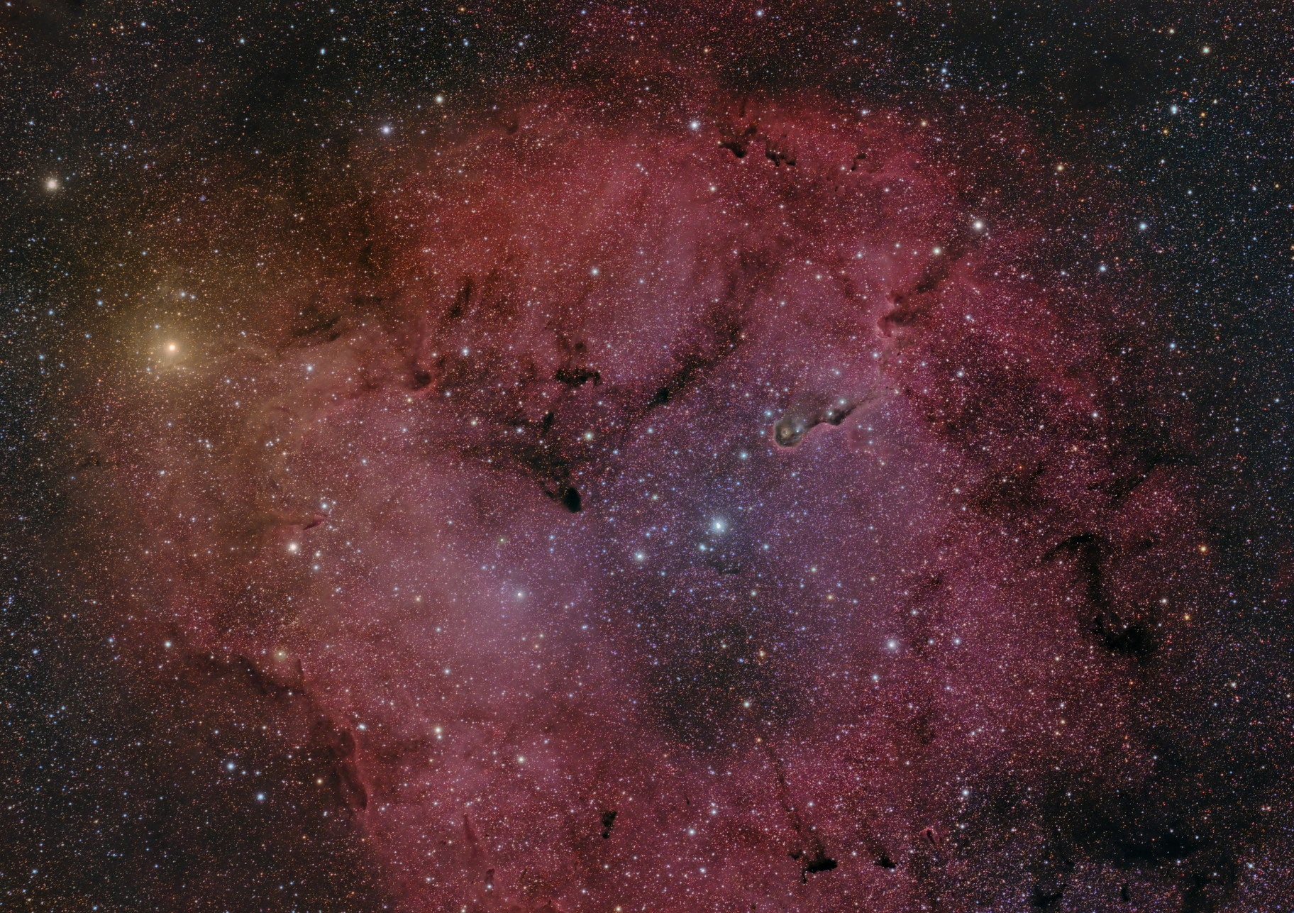 IC1396,                    Bradisback