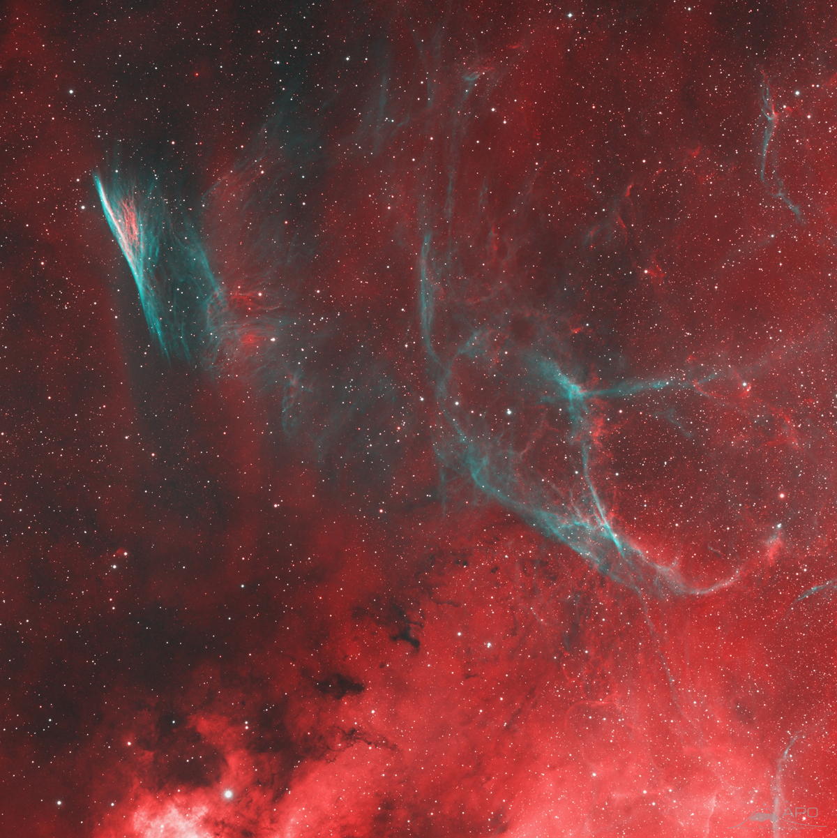 Pencil_Nebula_TOA150_U16M_HOO_APO_1200pix.jpg